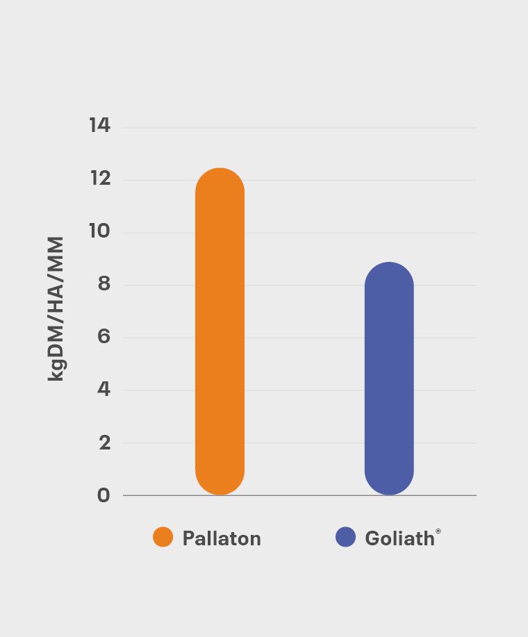 Pallaton vs Goliath - DLF Seeds